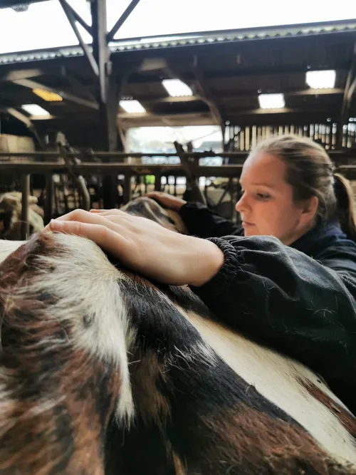 Margo Hocquet - Ostéopathe Animalier - Photo 1